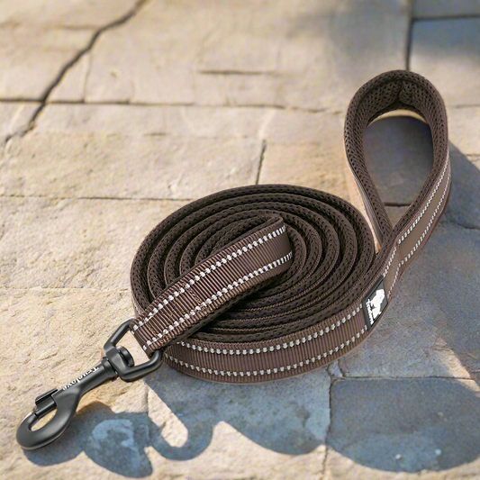 Reflective Pet Leash 2 meters Brown M