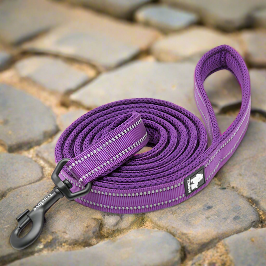 Reflective Pet Leash 2 meters Purple M
